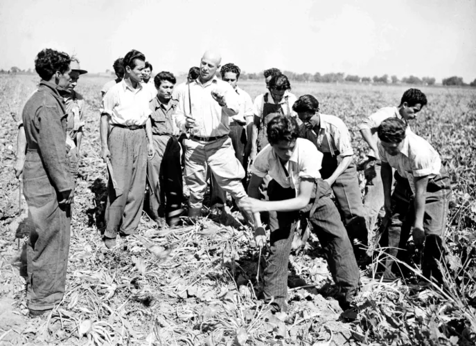 Photo of the Day: Mexican migrant workers